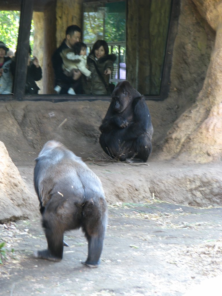 2009-01-04_042