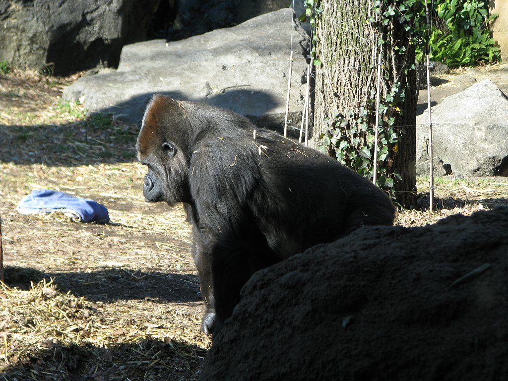 2009-01-04_044