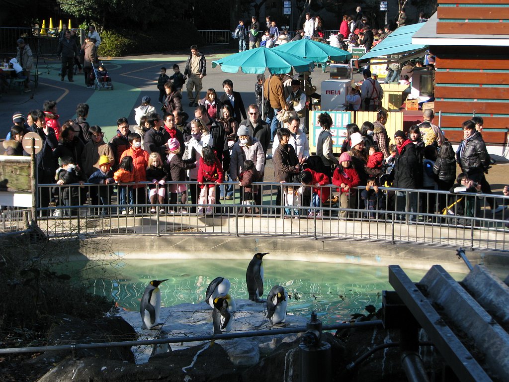 2009-01-04_080