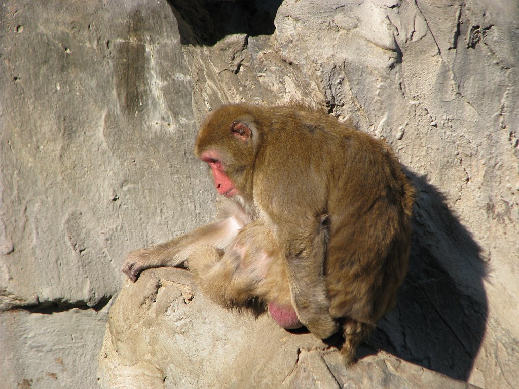 2009-01-04_093
