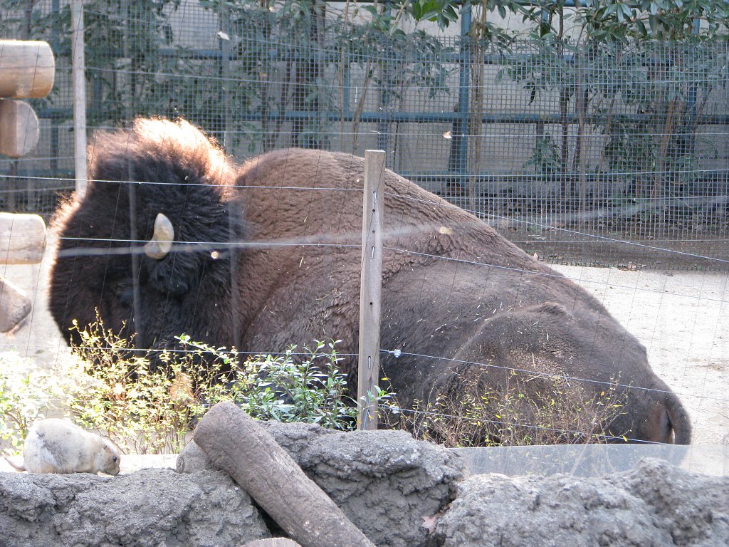 2009-01-04_098
