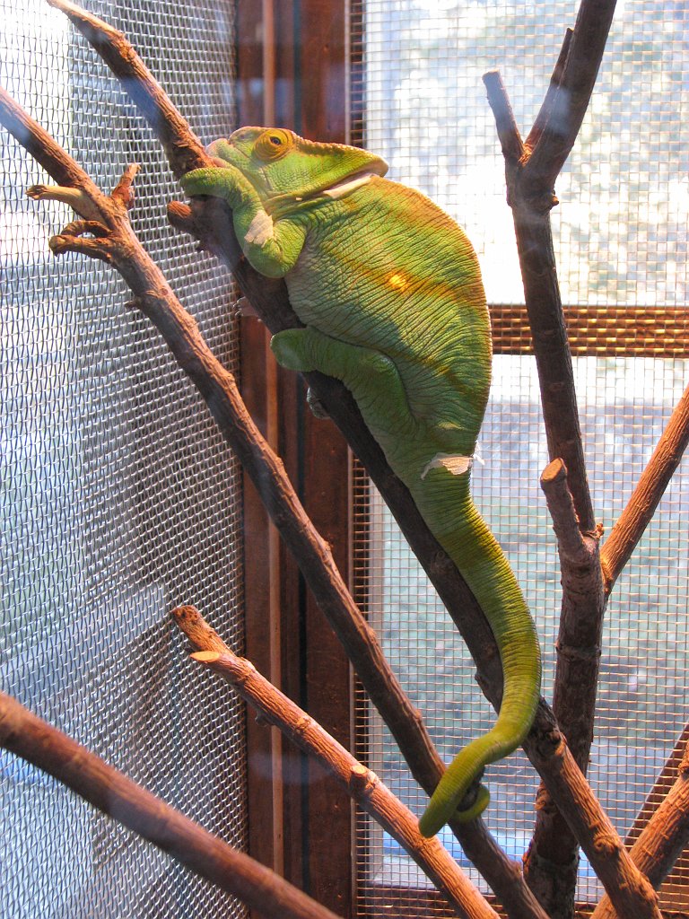 2009-01-04_129