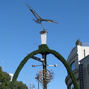 2009-01-25_007