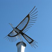 2009-01-25_008