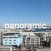 2009-01-25_012