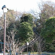 2009-01-25_022