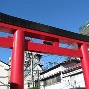 2009-01-25_038