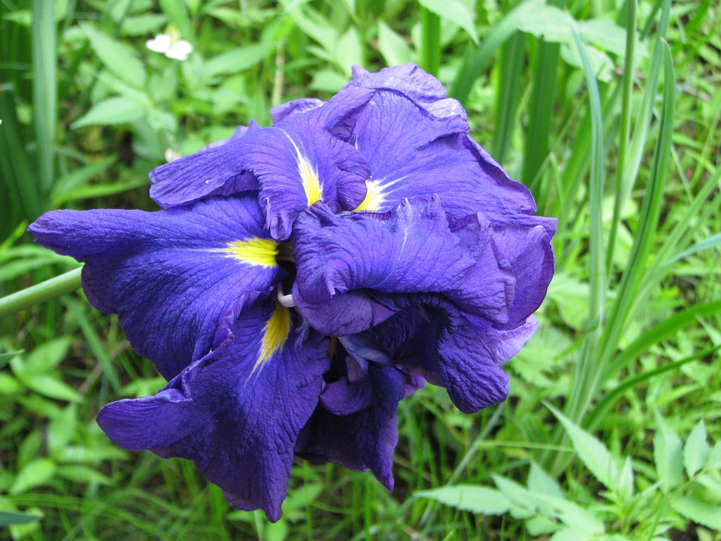 2009-06-13_059