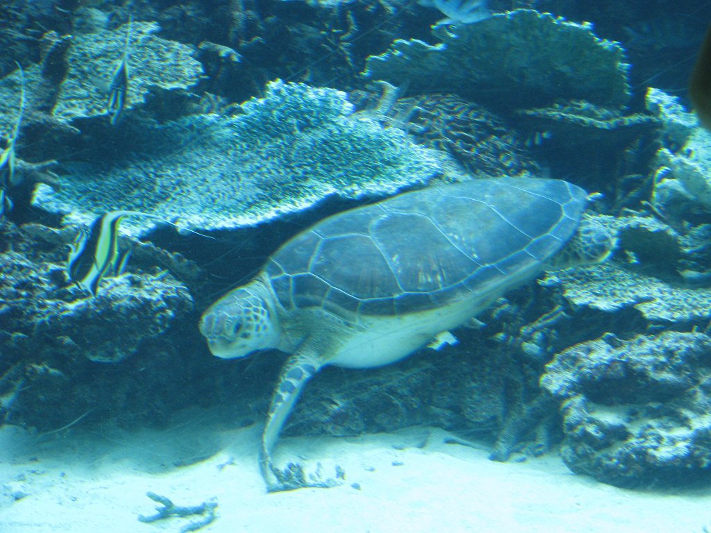 2009-10-05_050