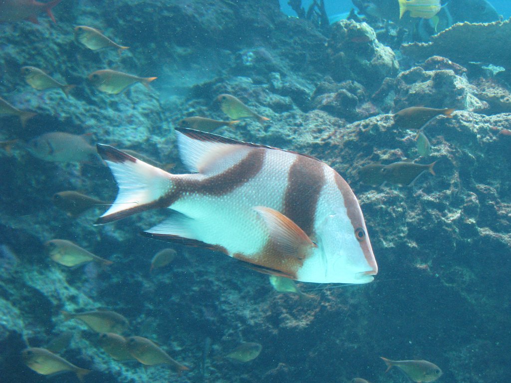 2009-10-05_051