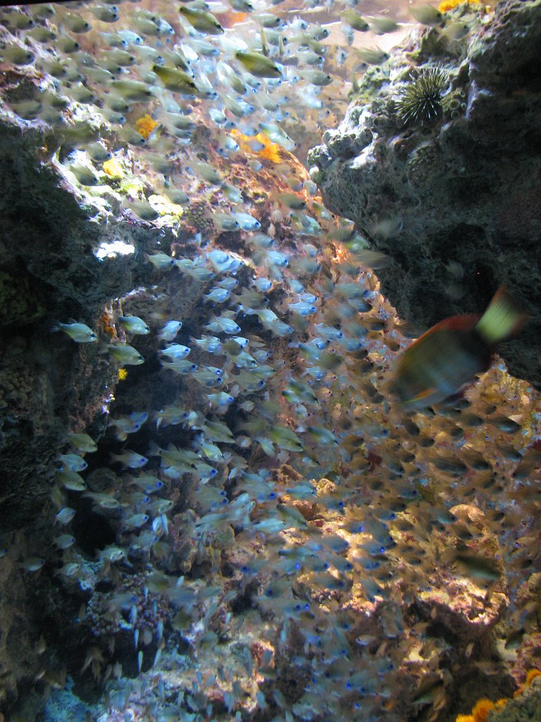 2009-10-05_057