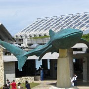 2009-10-05_030