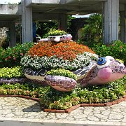 2009-10-05_031