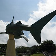2009-10-05_034