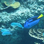 2009-10-05_037