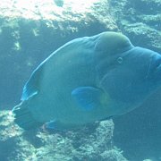 2009-10-05_040