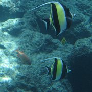 2009-10-05_041