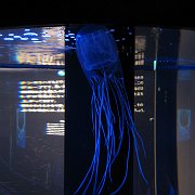 2009-10-05_052