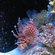 2009-10-05_053