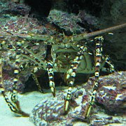 2009-10-05_054
