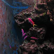 2009-10-05_055