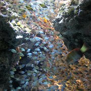 2009-10-05_057