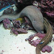 2009-10-05_058