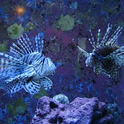 2009-10-05_060