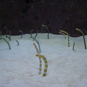 2009-10-05_064