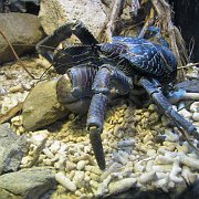 2009-10-05_065