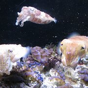 2009-10-05_066