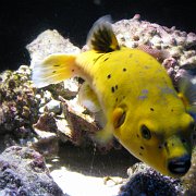 2009-10-05_068