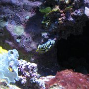 2009-10-05_070