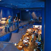 2009-10-05_071