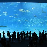 2009-10-05_072