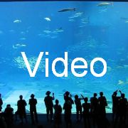 2009-10-05_073