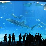 2009-10-05_074