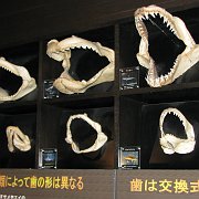 2009-10-05_075