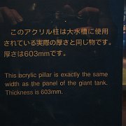 2009-10-05_103