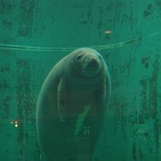 2009-10-05_106