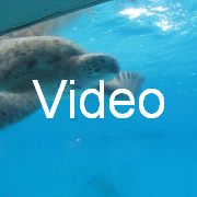 2009-10-05_118