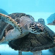 2009-10-05_119