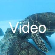 2009-10-05_121