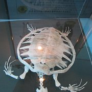 2009-10-05_122