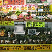 2009-10-05_127