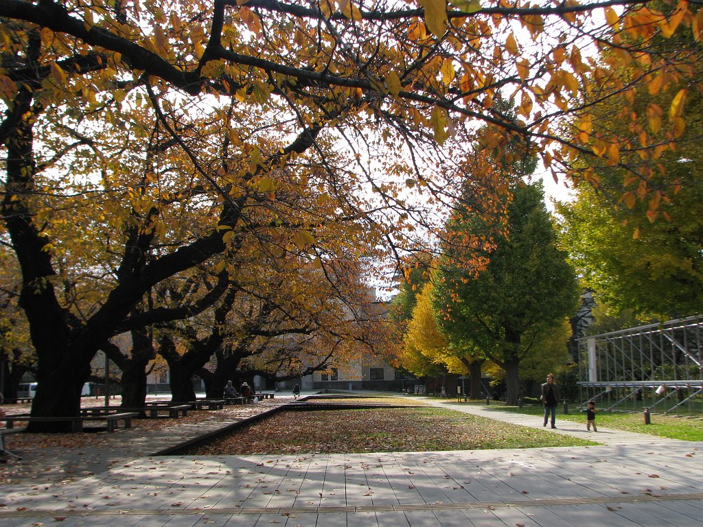 2009-11-29_013