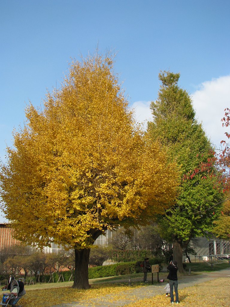 2009-11-29_018
