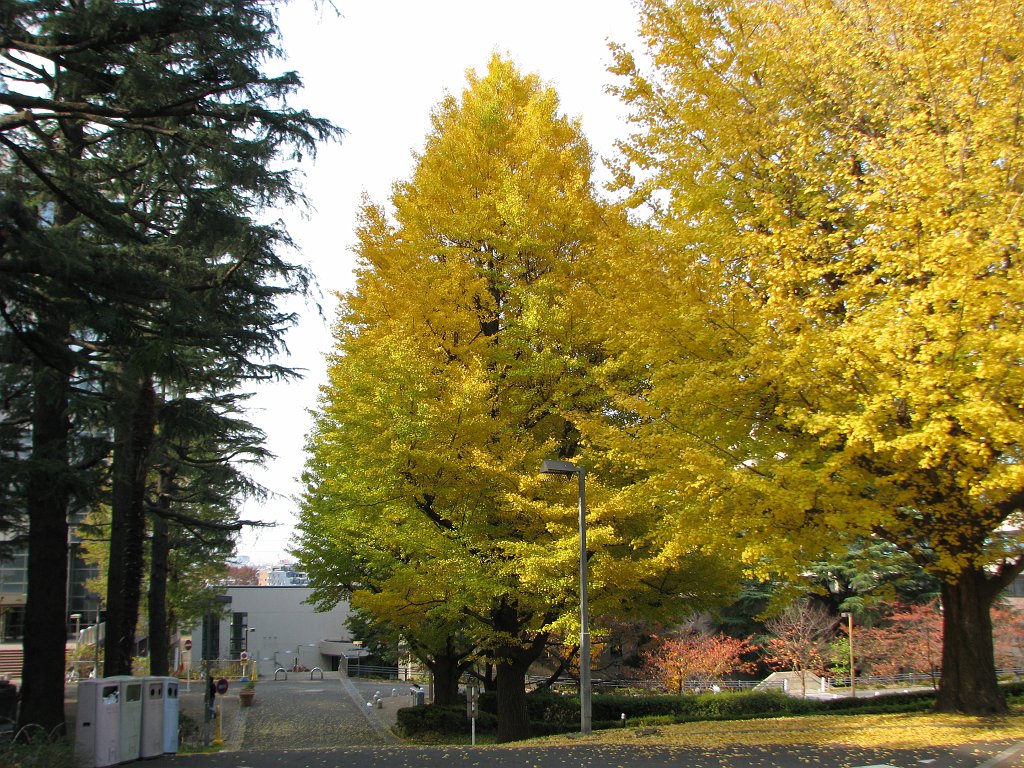 2009-11-29_023