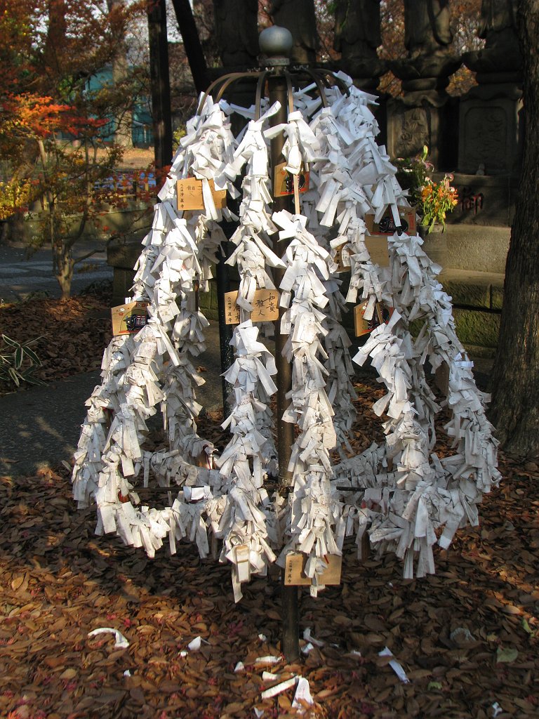 2009-12-17_025