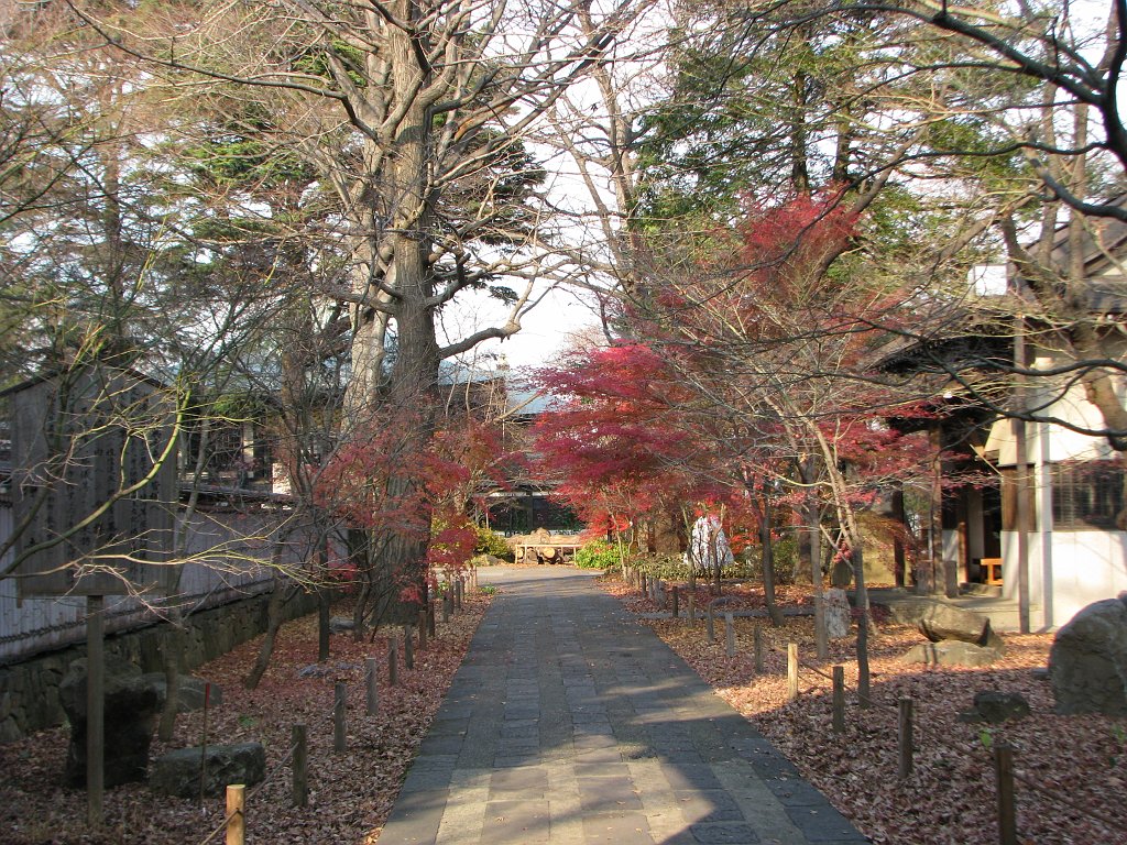 2009-12-17_032